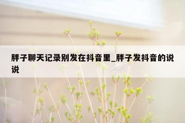 胖子聊天记录别发在抖音里_胖子发抖音的说说