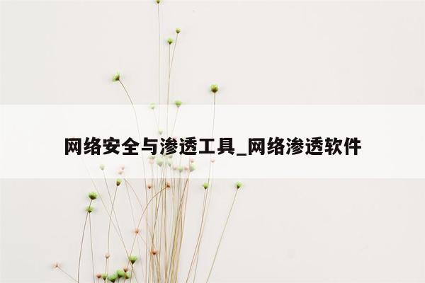 网络安全与渗透工具_网络渗透软件