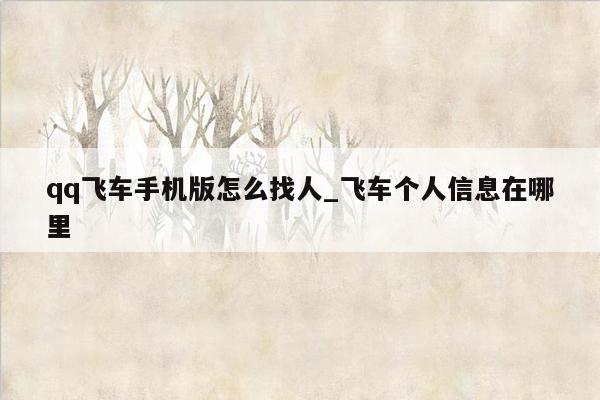 qq飞车手机版怎么找人_飞车个人信息在哪里
