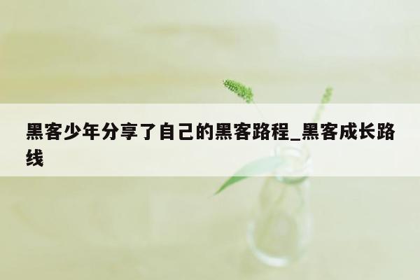 黑客少年分享了自己的黑客路程_黑客成长路线