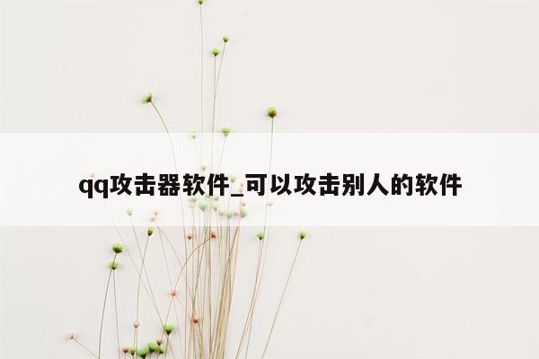 qq攻击器软件_可以攻击别人的软件