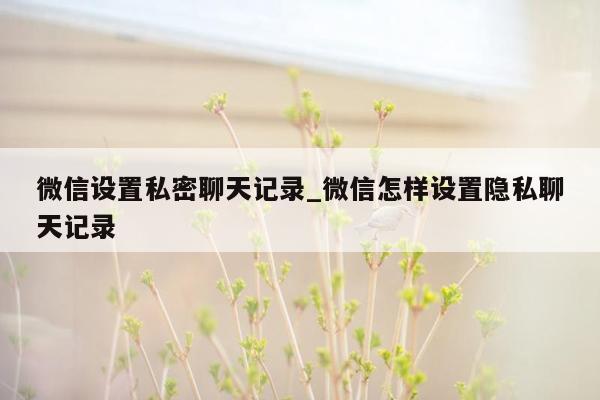 微信设置私密聊天记录_微信怎样设置隐私聊天记录