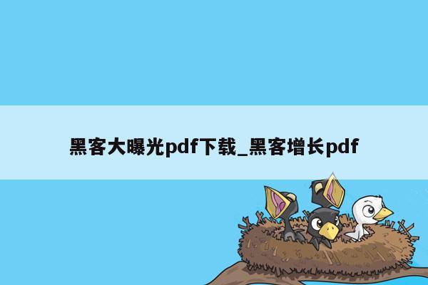 黑客大曝光pdf下载_黑客增长pdf