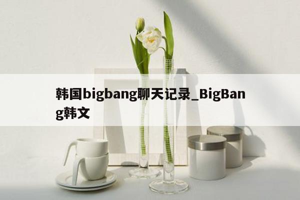 韩国bigbang聊天记录_BigBang韩文