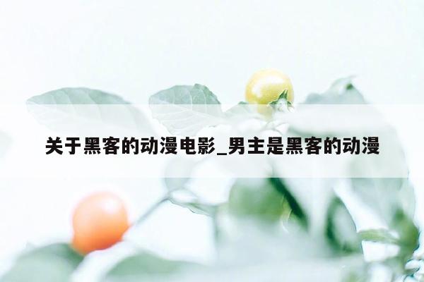 关于黑客的动漫电影_男主是黑客的动漫