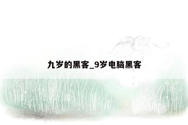 九岁的黑客_9岁电脑黑客