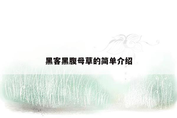 黑客黑腹母草的简单介绍