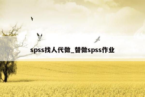 spss找人代做_替做spss作业