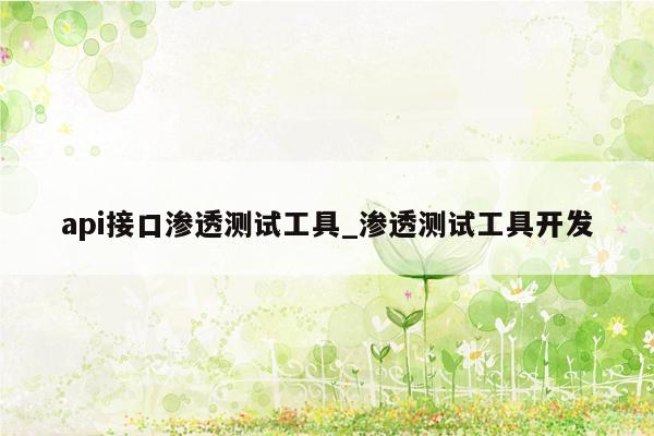 api接口渗透测试工具_渗透测试工具开发