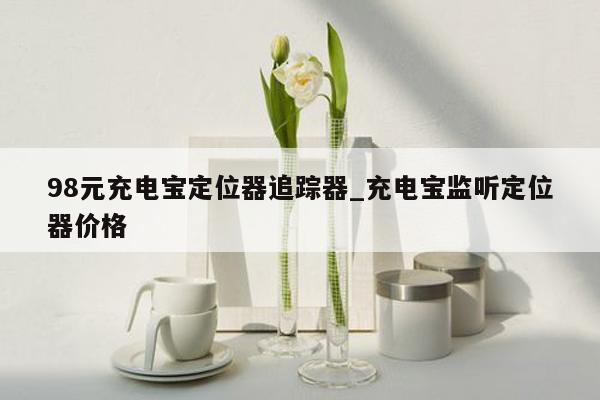 98元充电宝定位器追踪器_充电宝监听定位器价格
