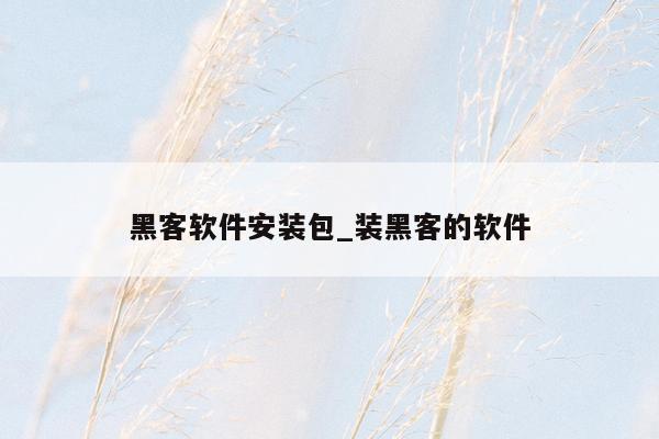 黑客软件安装包_装黑客的软件