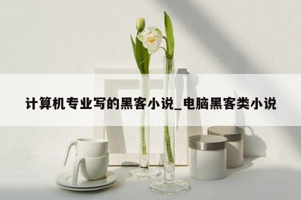 计算机专业写的黑客小说_电脑黑客类小说