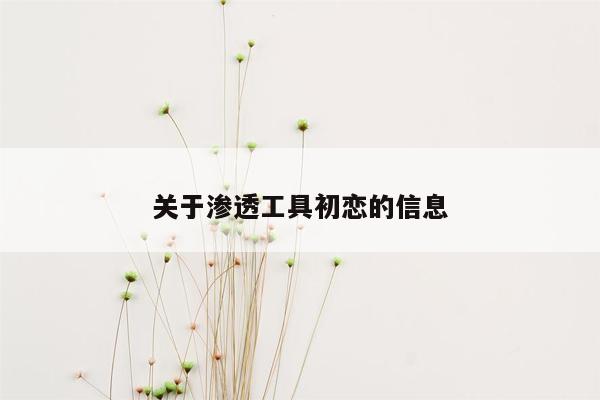 关于渗透工具初恋的信息