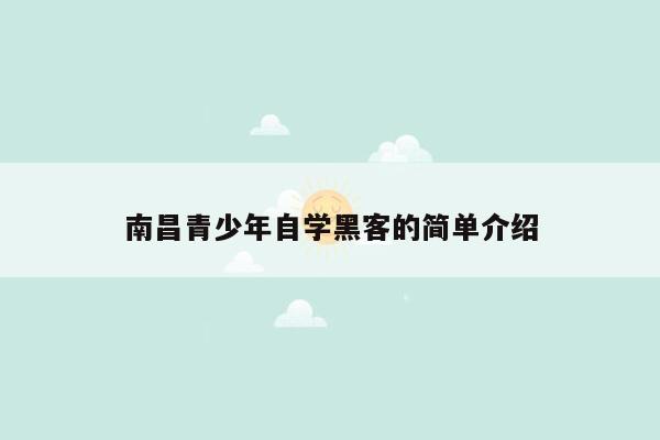 南昌青少年自学黑客的简单介绍