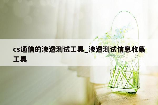 cs通信的渗透测试工具_渗透测试信息收集工具