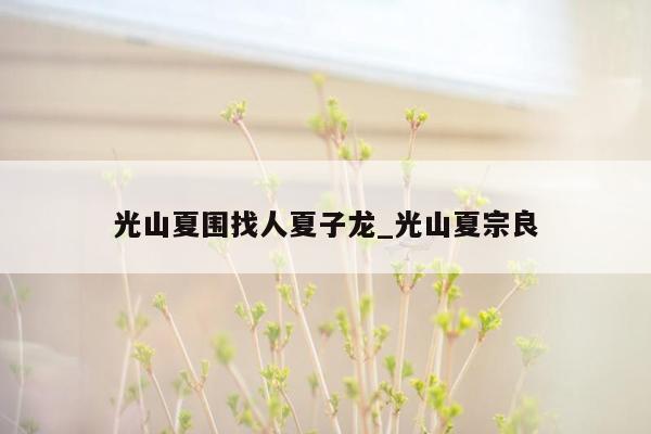 光山夏围找人夏子龙_光山夏宗良