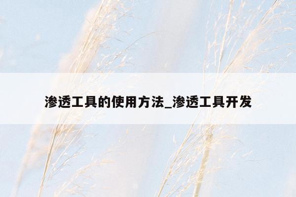 渗透工具的使用方法_渗透工具开发