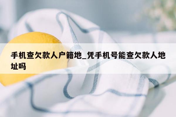 手机查欠款人户籍地_凭手机号能查欠款人地址吗
