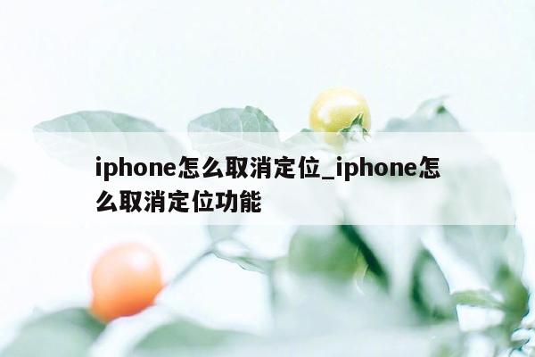iphone怎么取消定位_iphone怎么取消定位功能
