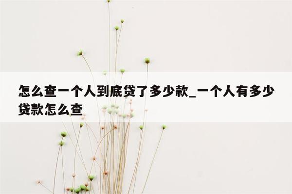 怎么查一个人到底贷了多少款_一个人有多少贷款怎么查