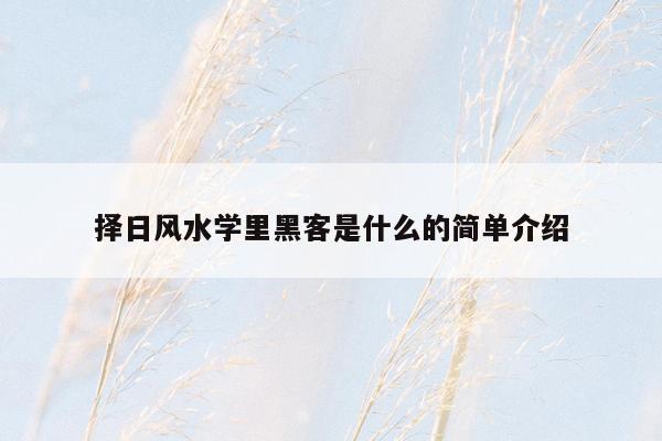 择日风水学里黑客是什么的简单介绍