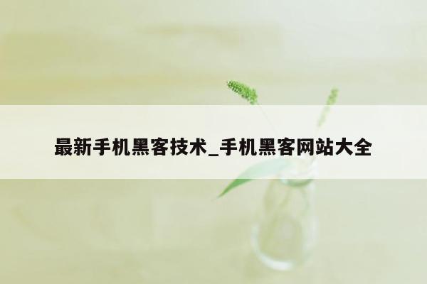 最新手机黑客技术_手机黑客网站大全