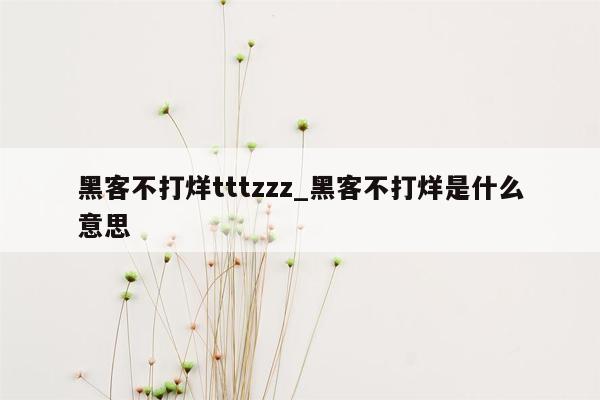 黑客不打烊tttzzz_黑客不打烊是什么意思