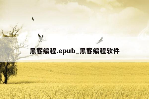 黑客编程.epub_黑客编程软件