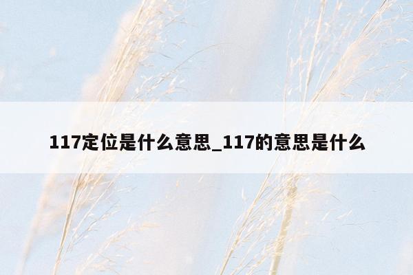 117定位是什么意思_117的意思是什么