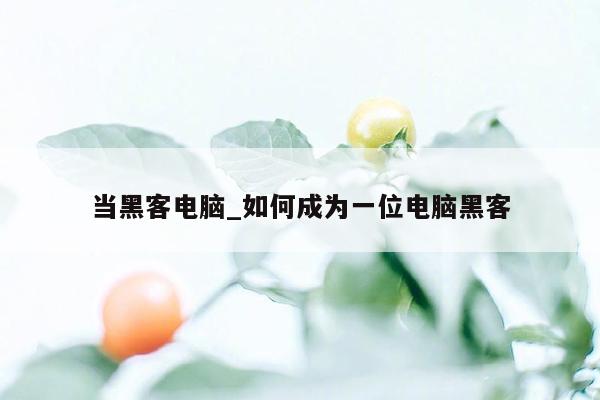 当黑客电脑_如何成为一位电脑黑客
