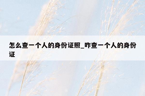 怎么查一个人的身份证照_咋查一个人的身份证