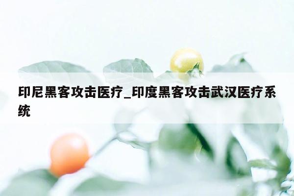 印尼黑客攻击医疗_印度黑客攻击武汉医疗系统