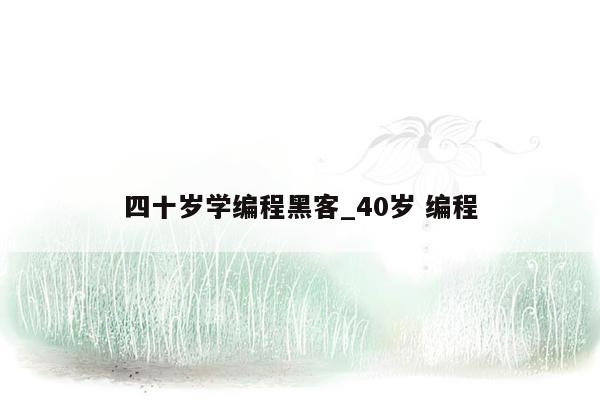 四十岁学编程黑客_40岁 编程