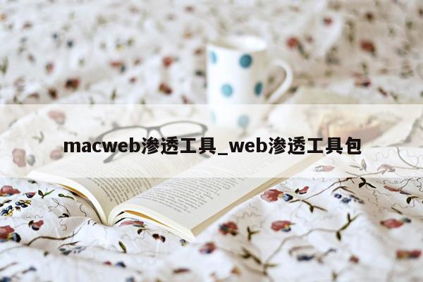 macweb渗透工具_web渗透工具包