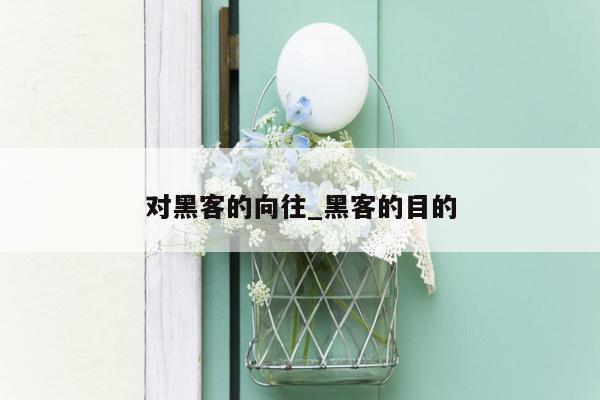 对黑客的向往_黑客的目的