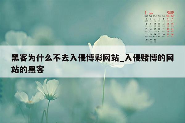 黑客为什么不去入侵博彩网站_入侵赌博的网站的黑客