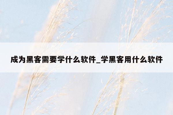 成为黑客需要学什么软件_学黑客用什么软件