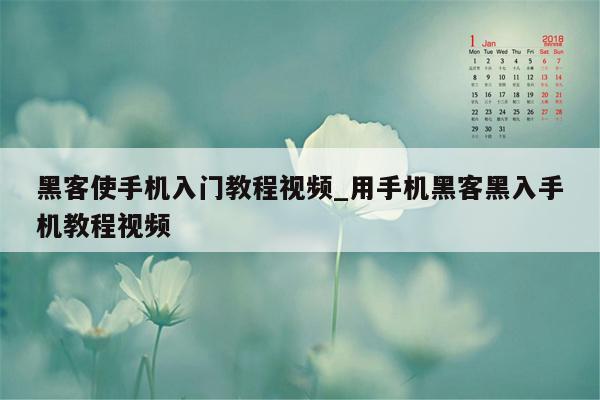 黑客使手机入门教程视频_用手机黑客黑入手机教程视频
