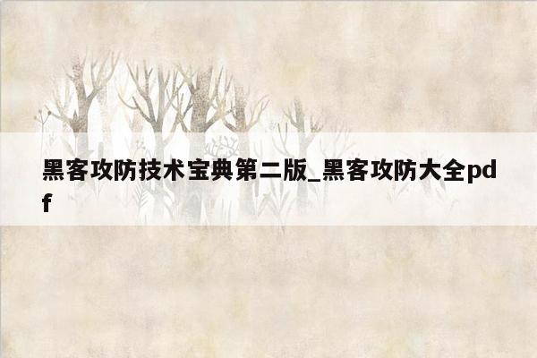 黑客攻防技术宝典第二版_黑客攻防大全pdf