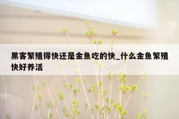 黑客繁殖得快还是金鱼吃的快_什么金鱼繁殖快好养活