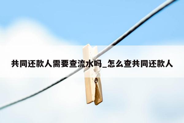 共同还款人需要查流水吗_怎么查共同还款人