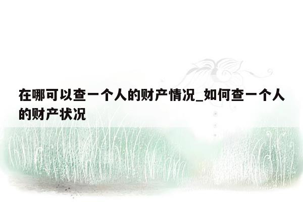 在哪可以查一个人的财产情况_如何查一个人的财产状况