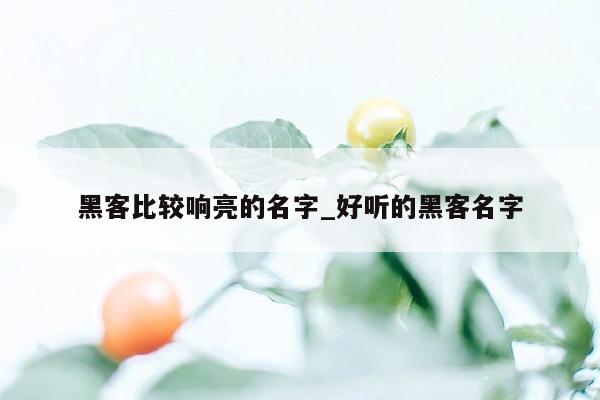 黑客比较响亮的名字_好听的黑客名字