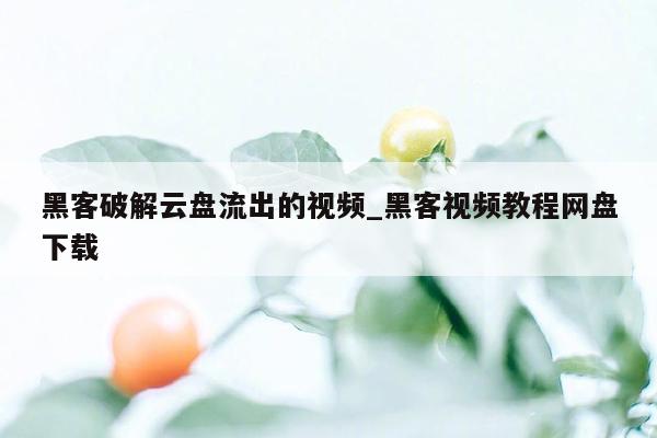 黑客破解云盘流出的视频_黑客视频教程网盘下载
