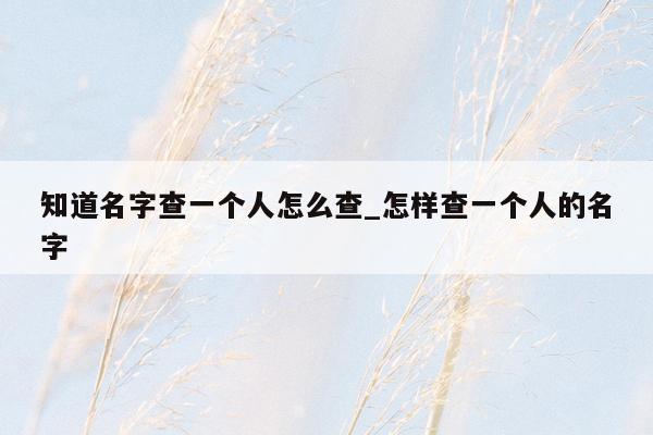 知道名字查一个人怎么查_怎样查一个人的名字