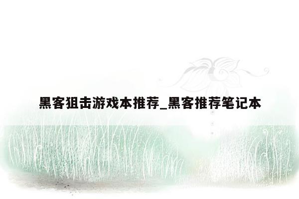 黑客狙击游戏本推荐_黑客推荐笔记本