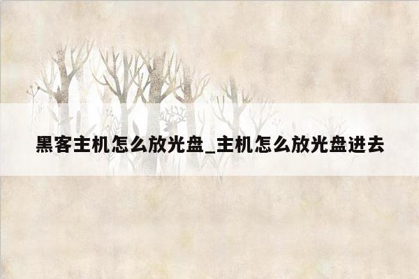 黑客主机怎么放光盘_主机怎么放光盘进去