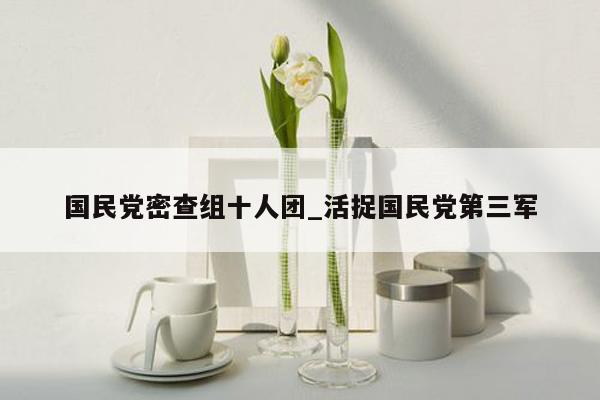 国民党密查组十人团_活捉国民党第三军