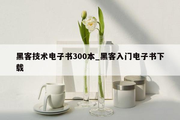 黑客技术电子书300本_黑客入门电子书下载