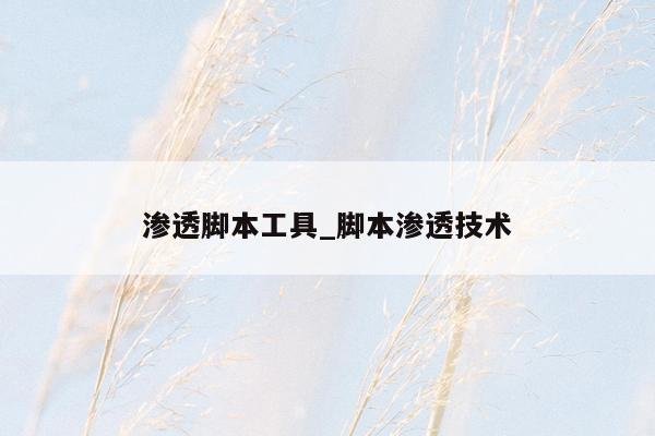 渗透脚本工具_脚本渗透技术
